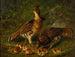 Grootbek met roodbruine veren en jonge vogels - Arthur Fitzwilliam Tait — weergave van het kunstwerk