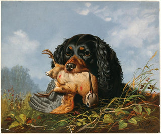 van een Epagneul en een houtsnip - Arthur Fitzwilliam Tait — weergave van het kunstwerk