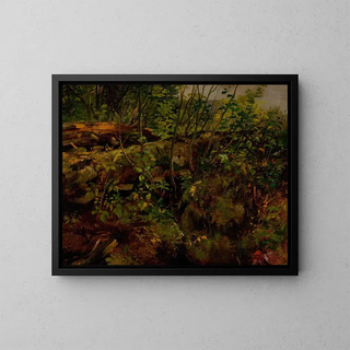 Studie naar de natuur - Arthur Fitzwilliam Tait — ingelijst kunstwerk aan de muur