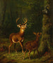 La forêt des Adirondacks - Arthur Fitzwilliam Tait — weergave van het kunstwerk