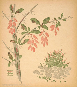 Arthur Wesley Dow - Barberries.webp
