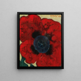 Artur Nikodem - Mohnblume Poppy Flower.webp