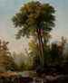 Een natuurlijke monarch - Asher Brown Durand — weergave van het kunstwerk