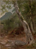 Een sycomore Plaaterkill Clove Le sycomore Kaaterskill Clove - Asher Brown Durand — weergave van het kunstwerk
