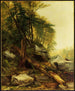 Landschap van Kaaterskill - Asher Brown Durand — weergave van het kunstwerk