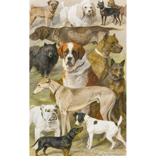 August Specht - Dog Studies.webp