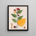 Abutilon esculentum - Auguste de Saint-Hilaire — ingelijst kunstwerk aan de muur
