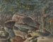 Berceau à Mount Rose, NJ, 3 miles à l'ouest de Princeton - Augustus Kollner — weergave van het kunstwerk