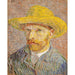 Reproductie van het schilderij Zelfportret met strohoed - Vincent van Gogh