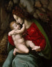 Maagd met Kind - Bacchiacca — weergave van het kunstwerk