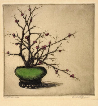 Baies d'hiver - Bertha Jaques