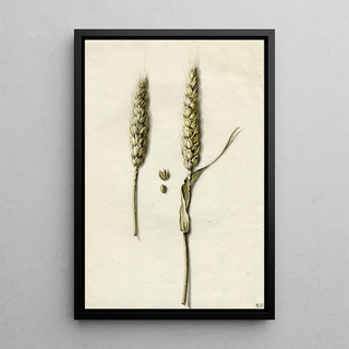 Barend Hendrik Thier - Rijpe tarwe.webp