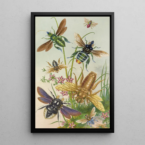 Barret And Sons - Bees And Their Conterfeits.webp