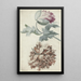 Poppies Painting - Bernard Picart — framed artwork on a wall