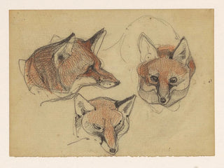 Bernard Willem Wierink - Drie vossenkoppen.webp
