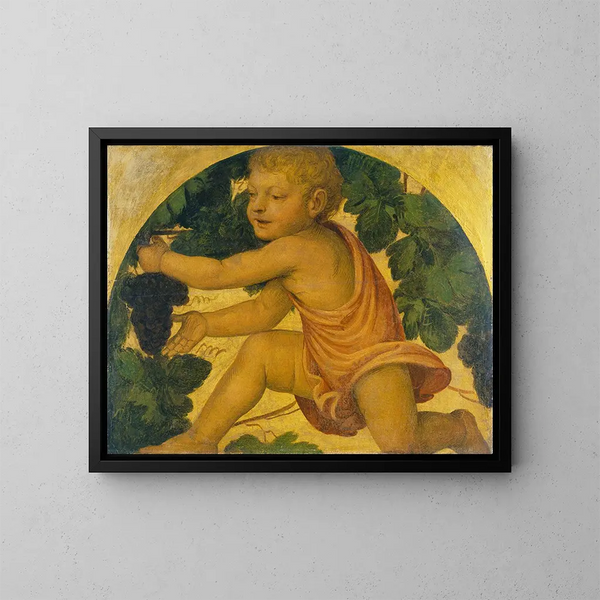 Putto dat druiven plukt - Bernardino Luini — ingelijst kunstwerk aan de muur