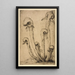 Darlingtonia - Bertha Jaques — ingelijst kunstwerk aan de muur