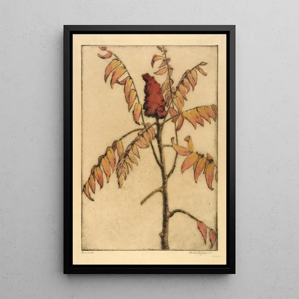 Bertha Jaques - Sumac.webp