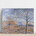 Reproductie van het schilderij van Bords du Loing, herfstachtig effect - Alfred Sisley