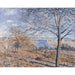 Reproductie van het schilderij van Bords du Loing, herfstachtig effect - Alfred Sisley