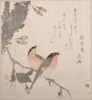 Bouvreuils et fleurs de cerisier - Kubo Shunman