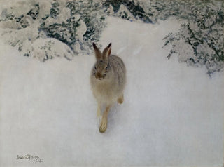Bruno Liljefors - Hare in Winter.webp