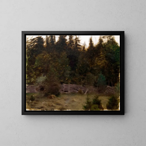 Studie van landschap - Bruno Liljefors — ingelijst kunstwerk aan de muur