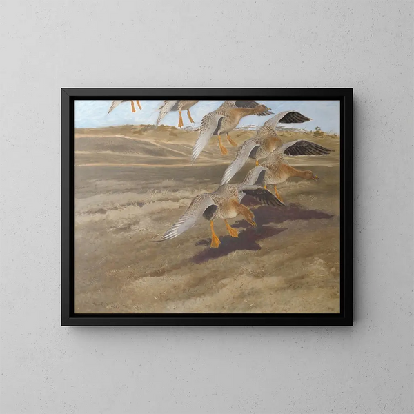 Wilde eenden - Bruno Liljefors — ingelijst kunstwerk aan de muur