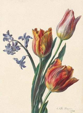 C de Haspe - Drie tulpen en een takje hyacint.webp