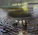 Ducks - Johann Walter-Kurau — artwork view