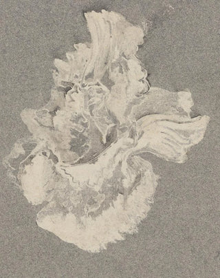 Carel Adolph Lion Cachet - Azaleabloem.webp