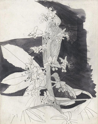 Carel Adolph Lion Cachet - Plantstudie brandnetel.webp