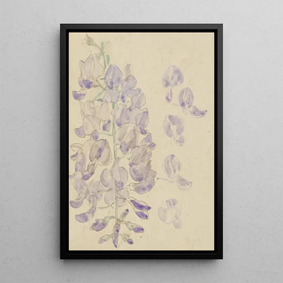 Carel Adolph Lion Cachet - Wisteria.webp