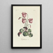Cyclamen - Carington Bowles — ingelijst kunstwerk aan de muur