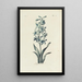 Reproductie van het schilderij Jacinthe - Carington Bowles