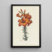 Lys - Carington Bowles — ingelijst kunstwerk aan de muur