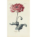 Reproductie van het schilderij Poppy - Carington Bowles