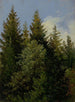 Sparren - Carl Gustav Carus — weergave van het kunstwerk