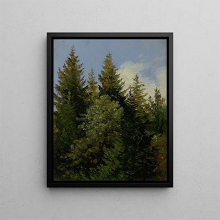 Carl Gustav Carus - Firs.webp