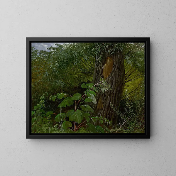 van wilgentrunk met onderbos - Carl Gustav Carus — ingelijst kunstwerk aan de muur