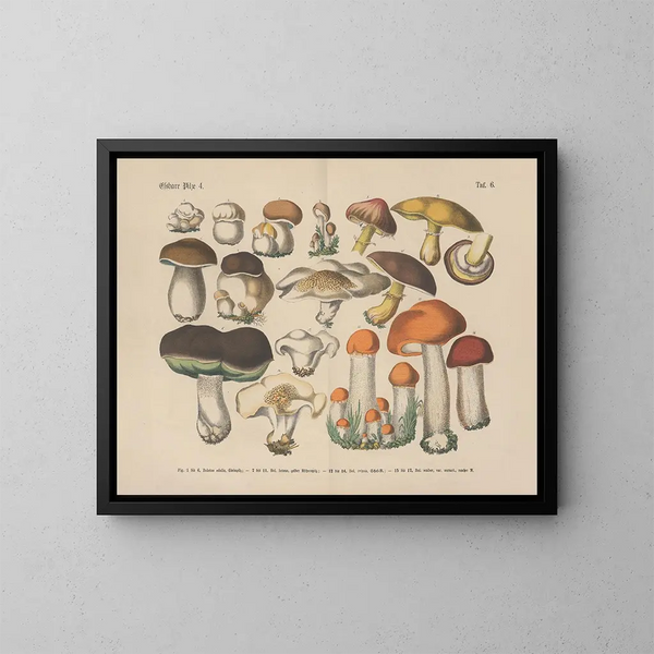 Manuel de botanique pratique en mots et en images Pl06 - Carl Hoffmann — ingelijst kunstwerk aan de muur