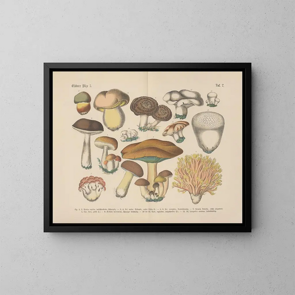Manuel de botanique pratique en mots et en images Pl07 - Carl Hoffmann — ingelijst kunstwerk aan de muur