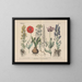 Manual pratique de botanique en mots et en images Pl19 - Carl Hoffmann — framed artwork on a wall