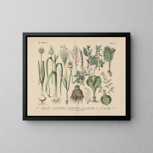 Manuel de botanique pratique en mots et en images Pl50 - Carl Hoffmann — ingelijst kunstwerk aan de muur