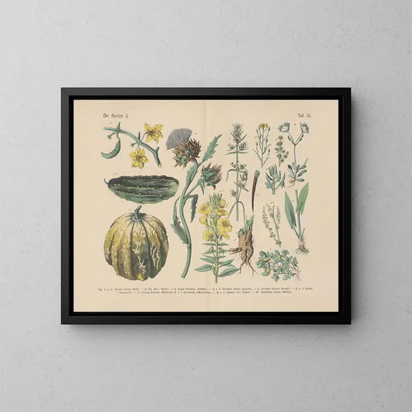 Manuel de botanique pratique en mots et en images Pl51 - Carl Hoffmann — ingelijst kunstwerk aan de muur