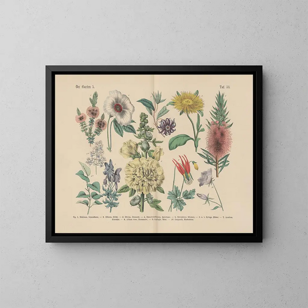 Manuel pratique de botanique en mots et en images Pl53 - Carl Hoffmann — ingelijst kunstwerk aan de muur