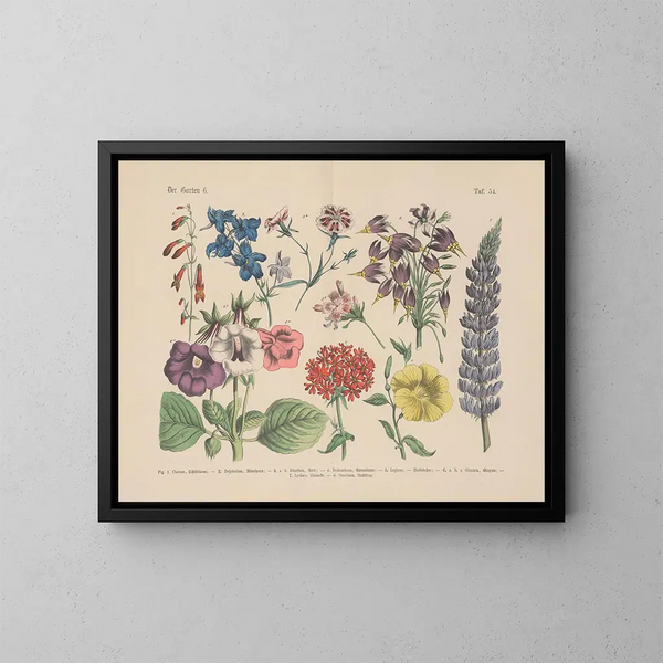 Manuel de botanique pratique en mots et en images Pl54 - Carl Hoffmann — ingelijst kunstwerk aan de muur