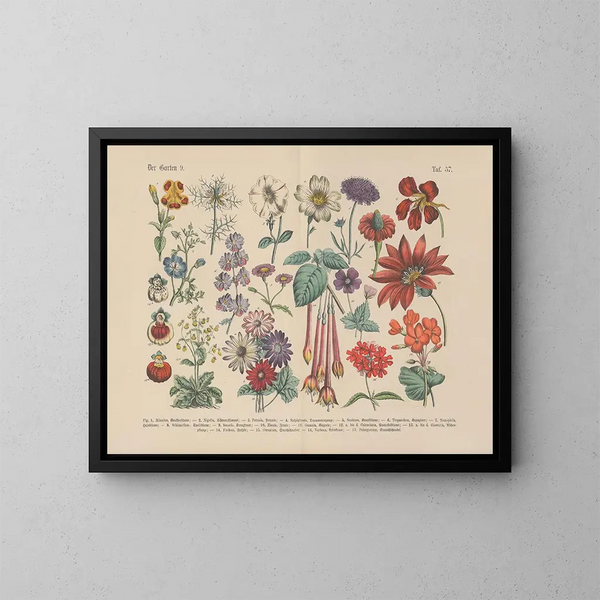 Manuel de botanique pratique en mots et en images Pl57 - Carl Hoffmann — ingelijst kunstwerk aan de muur