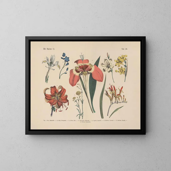 Manuel pratique de botanique en mots et en images Pl59 - Carl Hoffmann | Reproduction — ingelijst kunstwerk aan de muur