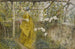 De Druif - Carl Larsson — weergave van het kunstwerk